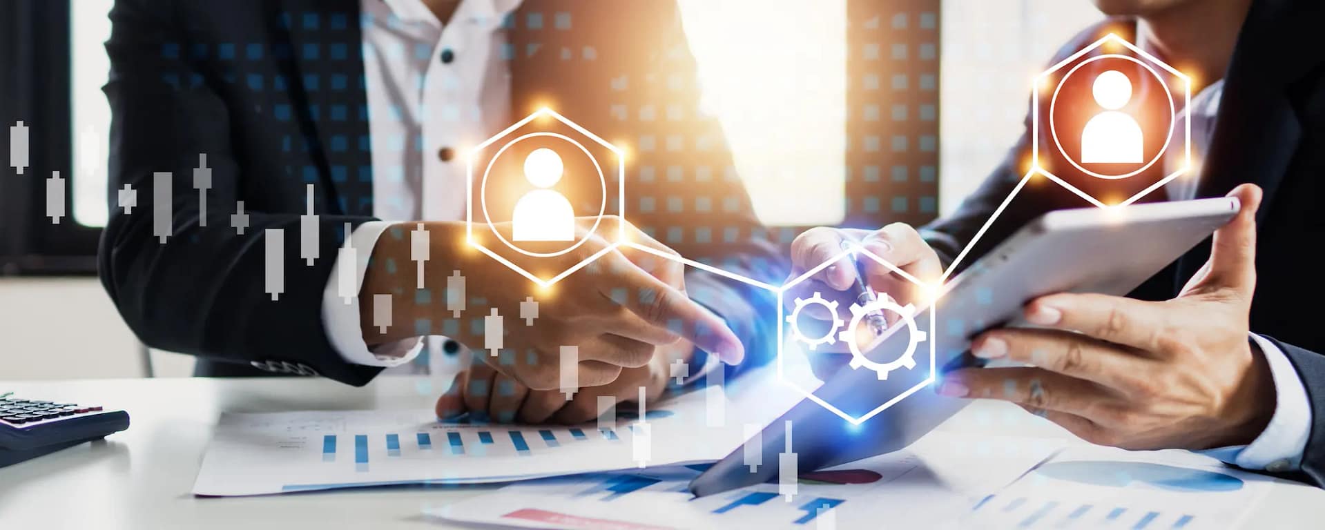 Investment Consultation